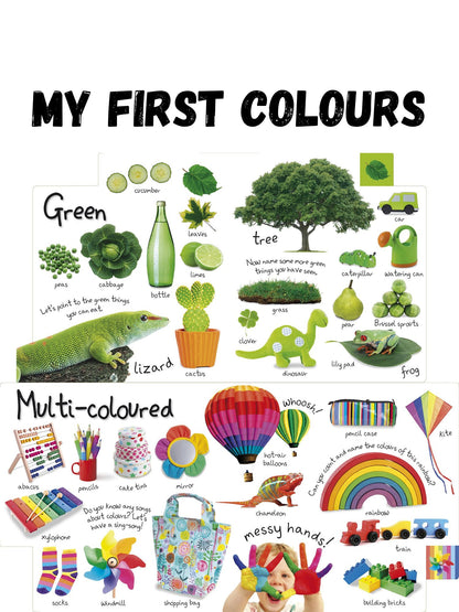 Book - My First Colours/ Zoo/ Numbers/ Things That Goes Board Book