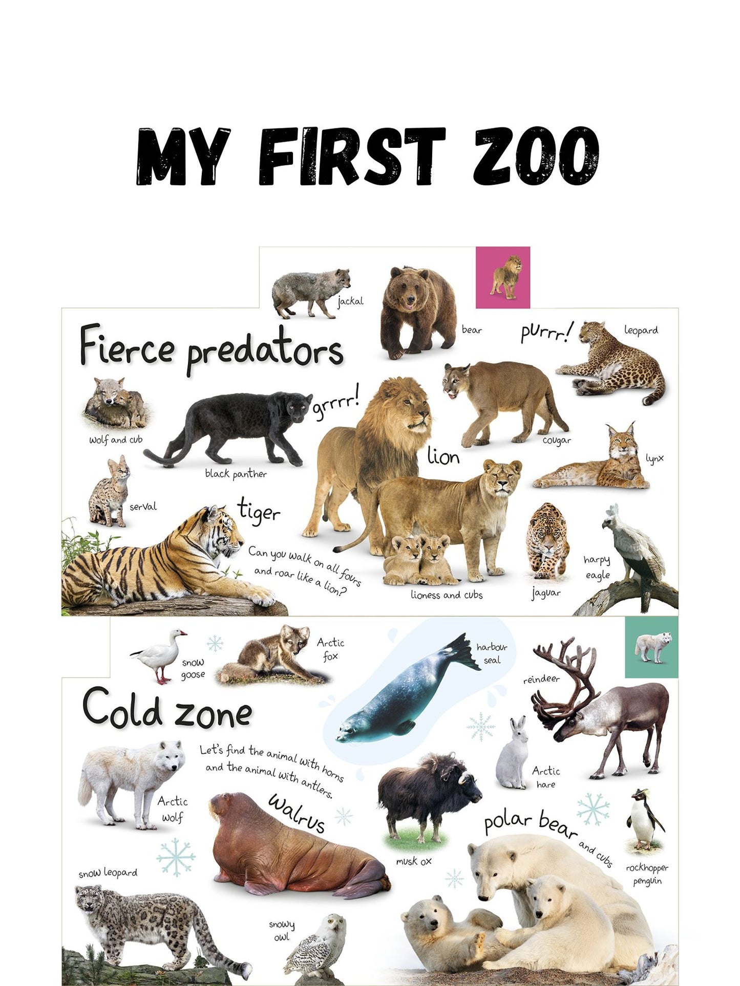 Book - My First Colours/ Zoo/ Numbers/ Things That Goes Board Book