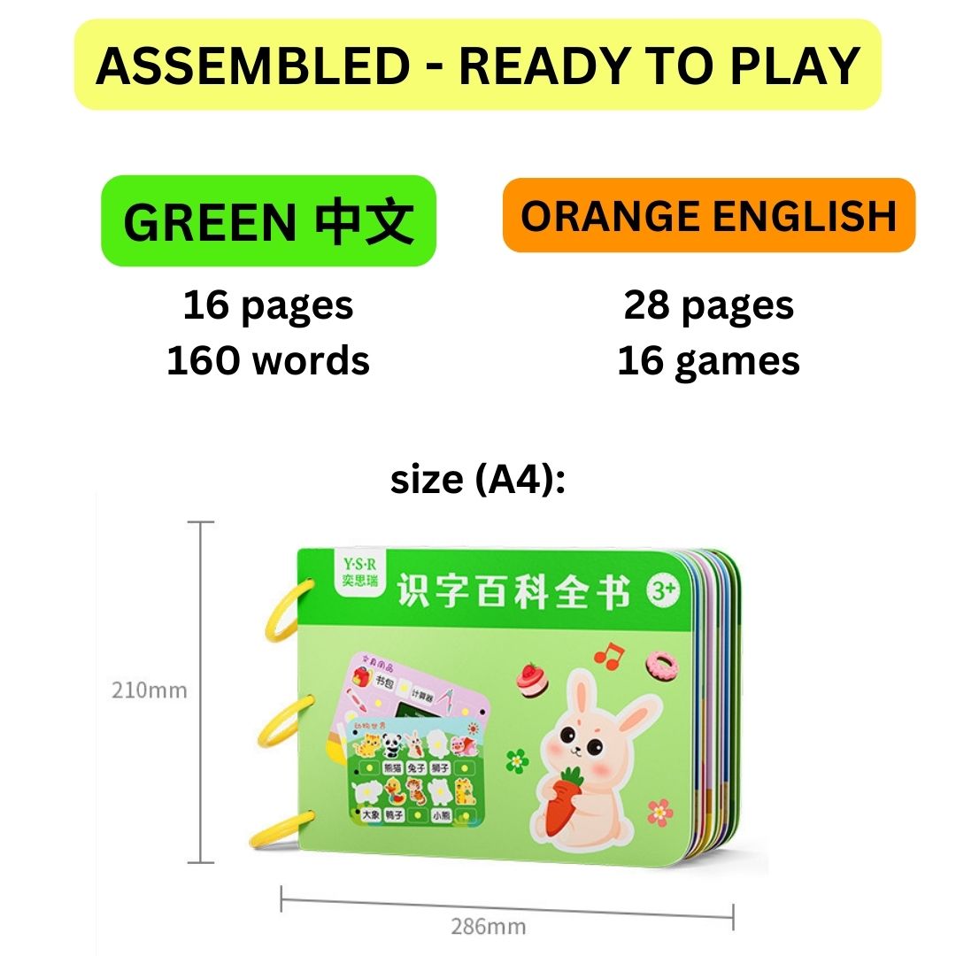 Chinese Book  - First Words Busy Book Chinese English Early Education [Ready to Play]