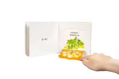 [SALE] Chinese Children Books From $7