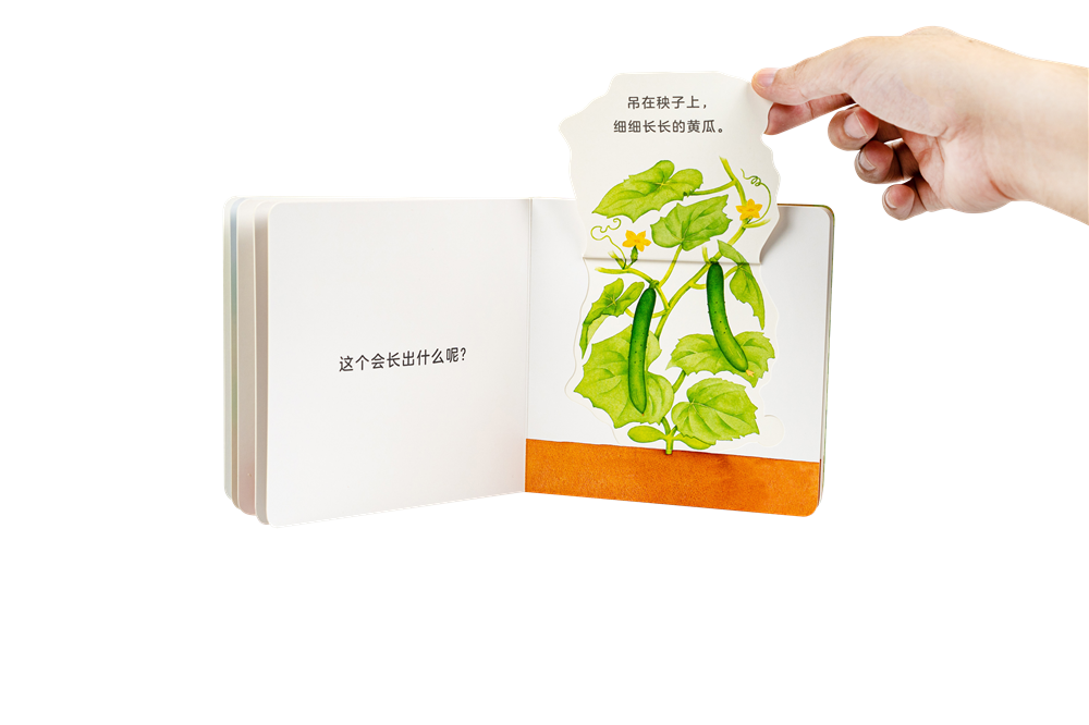 [SALE] Chinese Children Books From $7