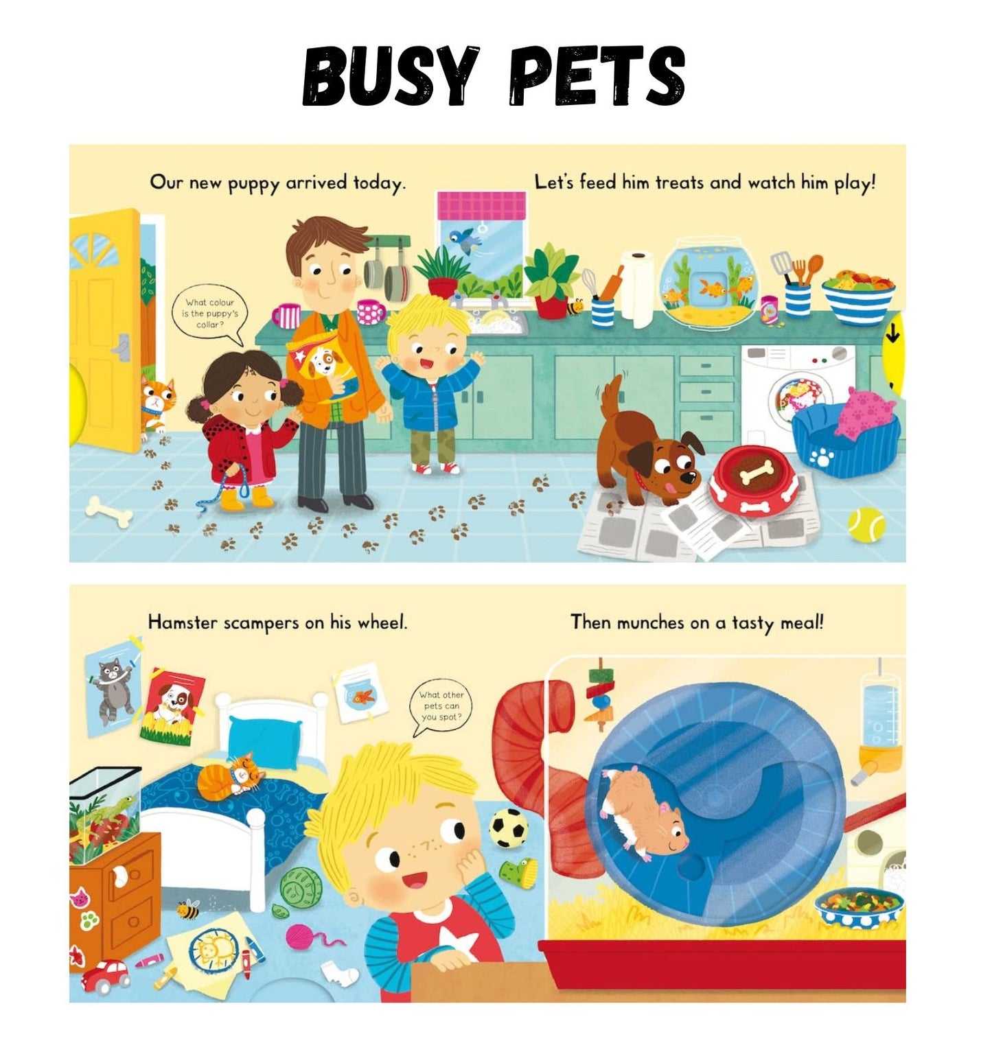 Book - Interactive Campbell series Board Book