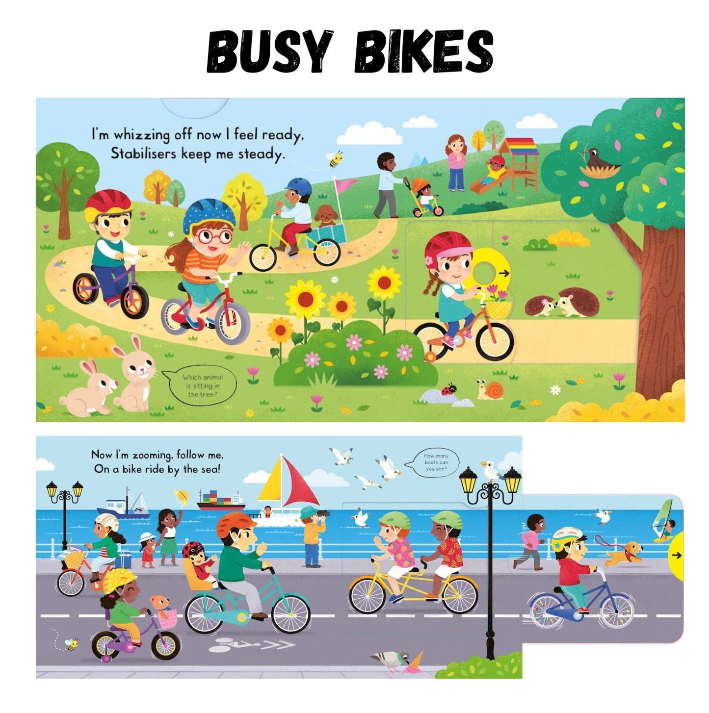 Book - Interactive Campbell series Board Book