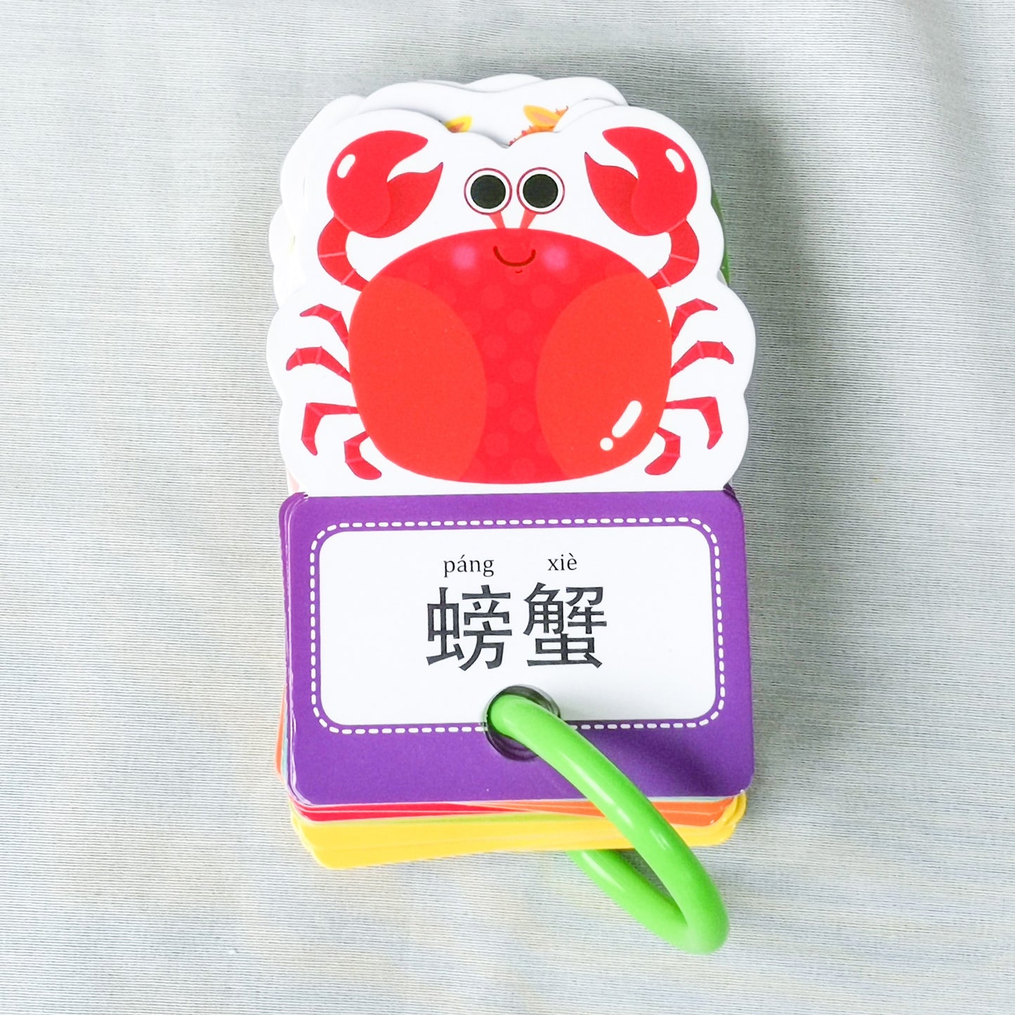 Chinese Book - Bilingual Flash Card with Ring Pinyin 美味食物 动物王国 日常用品 交通工具