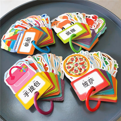 Chinese Book - Bilingual Flash Card with Ring Pinyin 美味食物 动物王国 日常用品 交通工具